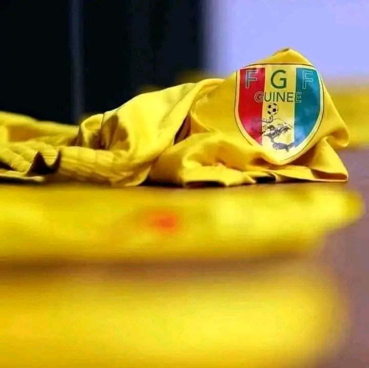 Match Tanzanie-Guinée:De faux journalistes et mauvais communicants embrouillent les guinéens !