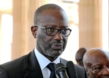 Côte d’Ivoire : Tidjane Thiam attaqué sur ses origines sénégalaises par un ministre délégué