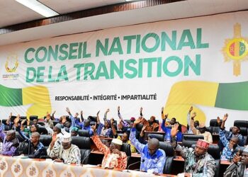 La Constitution est-elle prête ? « Le projet final n’est pas encore adopté », précise un conseiller du CNT