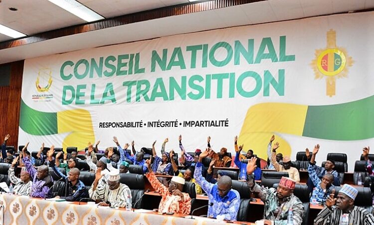 La Constitution est-elle prête ? « Le projet final n’est pas encore adopté », précise un conseiller du CNT