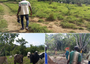 Résurgence des tensions à Foumbadou : Les dessous…