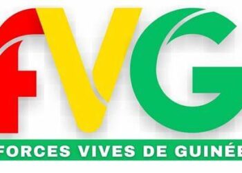 Les Forces Vives de Guinée contestent l’évaluation des partis politiques: « Seul le peuple, à travers des élections régulières, libres et inclusives, a le droit d’évaluer les partis… »
