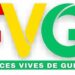 Les Forces Vives de Guinée contestent l’évaluation des partis politiques: « Seul le peuple, à travers des élections régulières, libres et inclusives, a le droit d’évaluer les partis… »